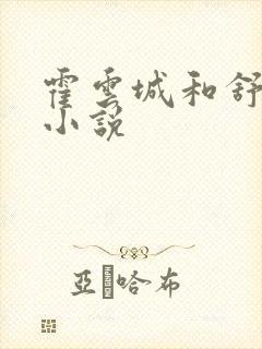 霍云城和舒情的小说