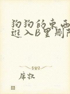 狗狗的东西直接进入B里删除