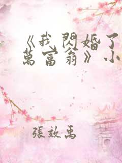 《我闪婚了个亿万富翁》小说