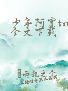 少年阿宾txt全文下载