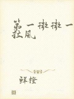 第一微微一笑很拉风