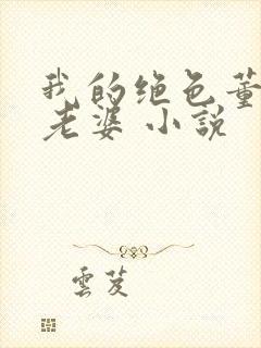 我的绝色董事长老婆 小说