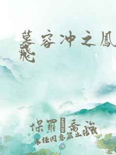 慕容冲之凤凰于飞