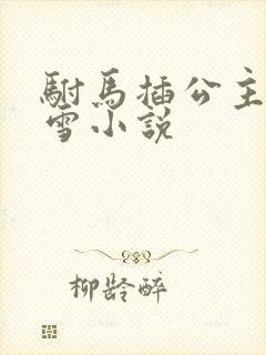 驸马插公主恋战雪小说