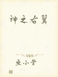 神之右翼