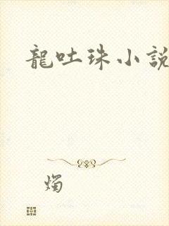 龙吐珠小说