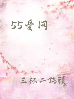 55爱网