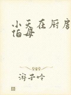 小天在厨房插杨伯母