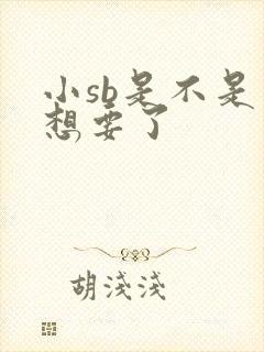 小sb是不是又想要了