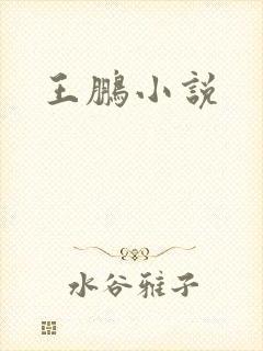 王鹏小说