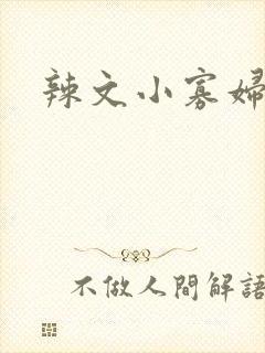 辣文小寡妇