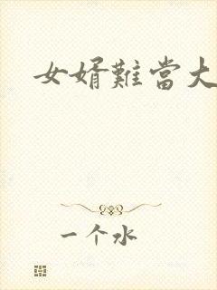 女婿难当大结局