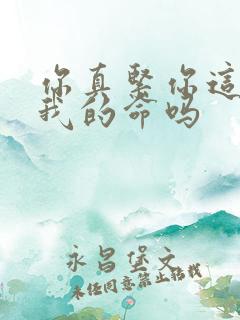 你真紧你这是要我的命吗