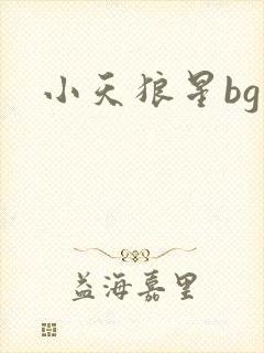 小天狼星bg