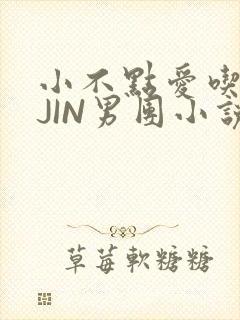 小不点爱吃肉混JIN男团小说