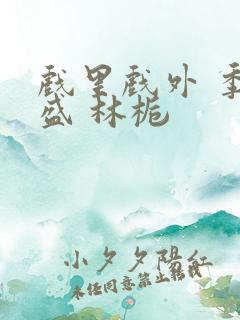 戏里戏外 季淮盛 林栀