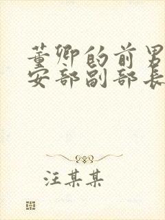 董卿的前男友公安部副部长