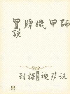 冒牌机甲师 小说