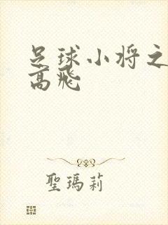 足球小将之展翅高飞
