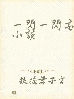 一闪一闪亮星星小说