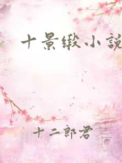 十景缎小说