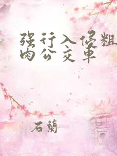 强行入侵粗暴h肉公交车