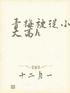 青梅被从小玩到大高h