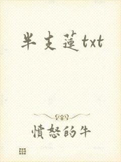 半支莲txt
