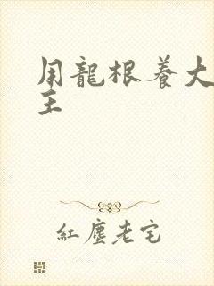 用龙根养大的公主