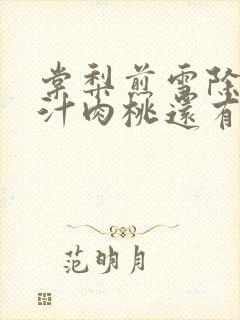 棠梨煎雪除了蜜汁肉桃还有什么肉