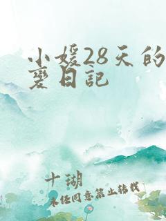 小媛28天的剧变日记
