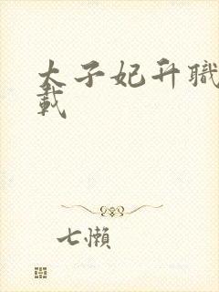 太子妃升职记下载