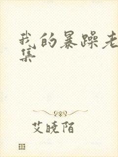 我的暴躁老妈全集