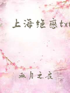 上海绝恋txt