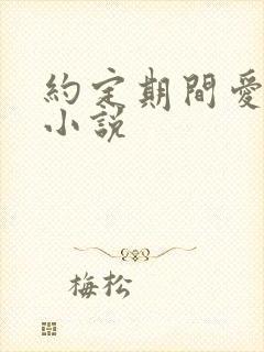 约定期间爱上你小说