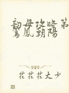 韵母攻略第二部鸾凤朝阳