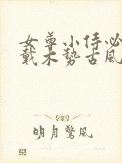 女尊小侍必须佩戴木势古风