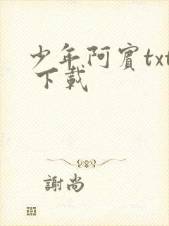 少年阿宾txt 下载
