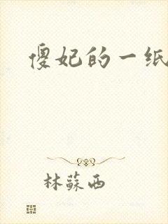 傻妃的一纸休书