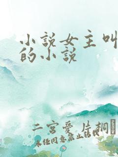 小说女主叫洛蓝的小说