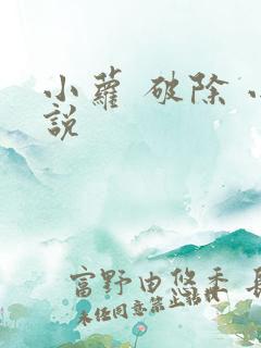 小萝 破除 小说