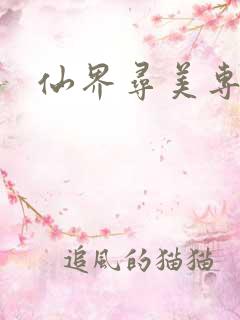 仙界寻美专家