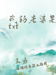 我的老婆是上司txt