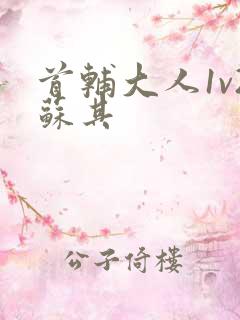 首辅大人1v2苏其