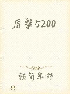 盾击5200