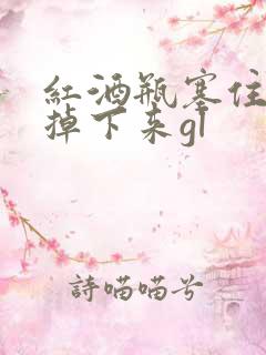 红酒瓶塞住不准掉下来gl