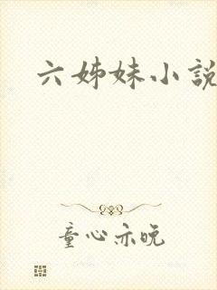 六姊妹小说