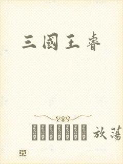 三国王睿