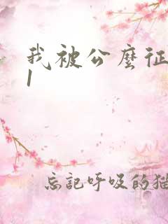 我被公么征服了1