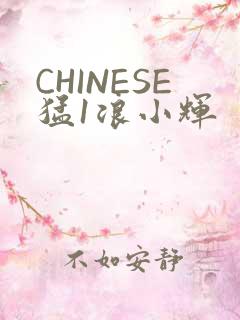 CHINESE猛1浪小辉
